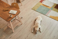 What Are the Pros and Cons of Different Types of Wood Flooring?